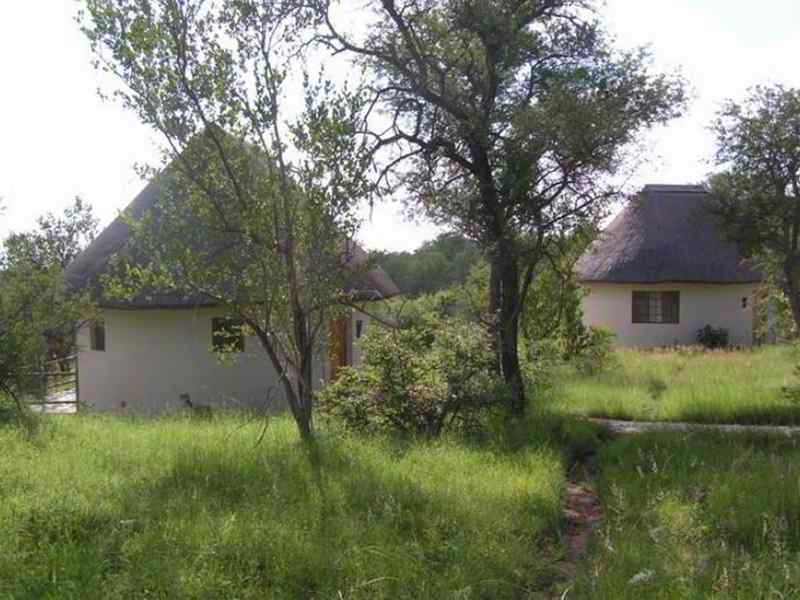 Mbizi Bush Lodge Phalaborwa Exterior foto